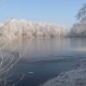 teich_winter_1