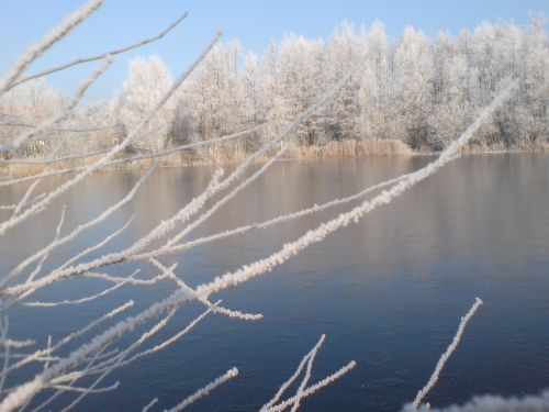 Teich Kammermann im Winter 2 Teich Kammermann im Winter 2