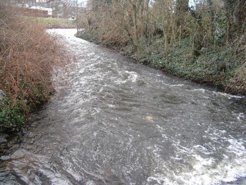 Ems bei Einlauf Umflut Westwall